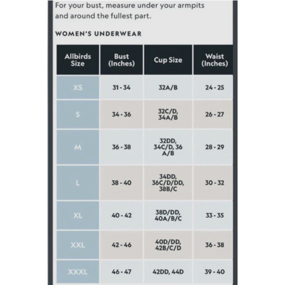 New in Box Allbirds Trino Bralette in Color Peppercorn Size XL - Picture 10 of 10